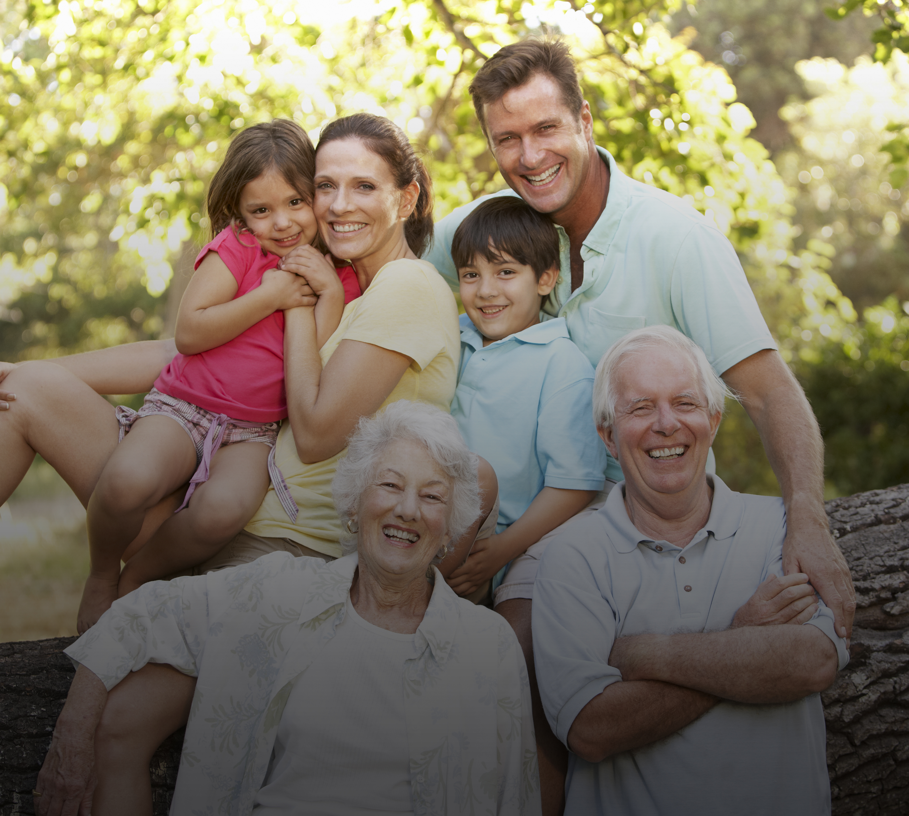 Portrait Of Extended Family Group In Park